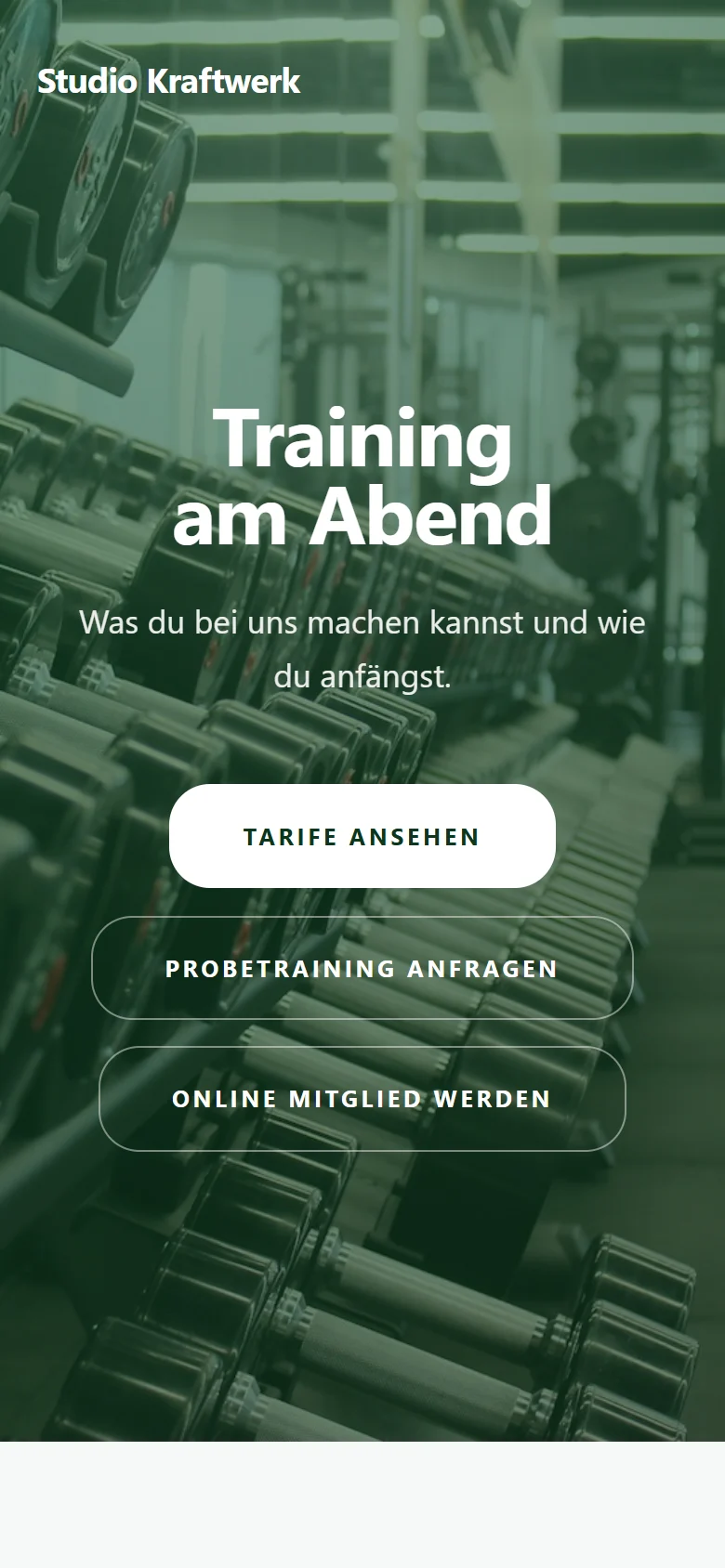 Example page “Studio Kraftwerk” on a phone: the top of the page