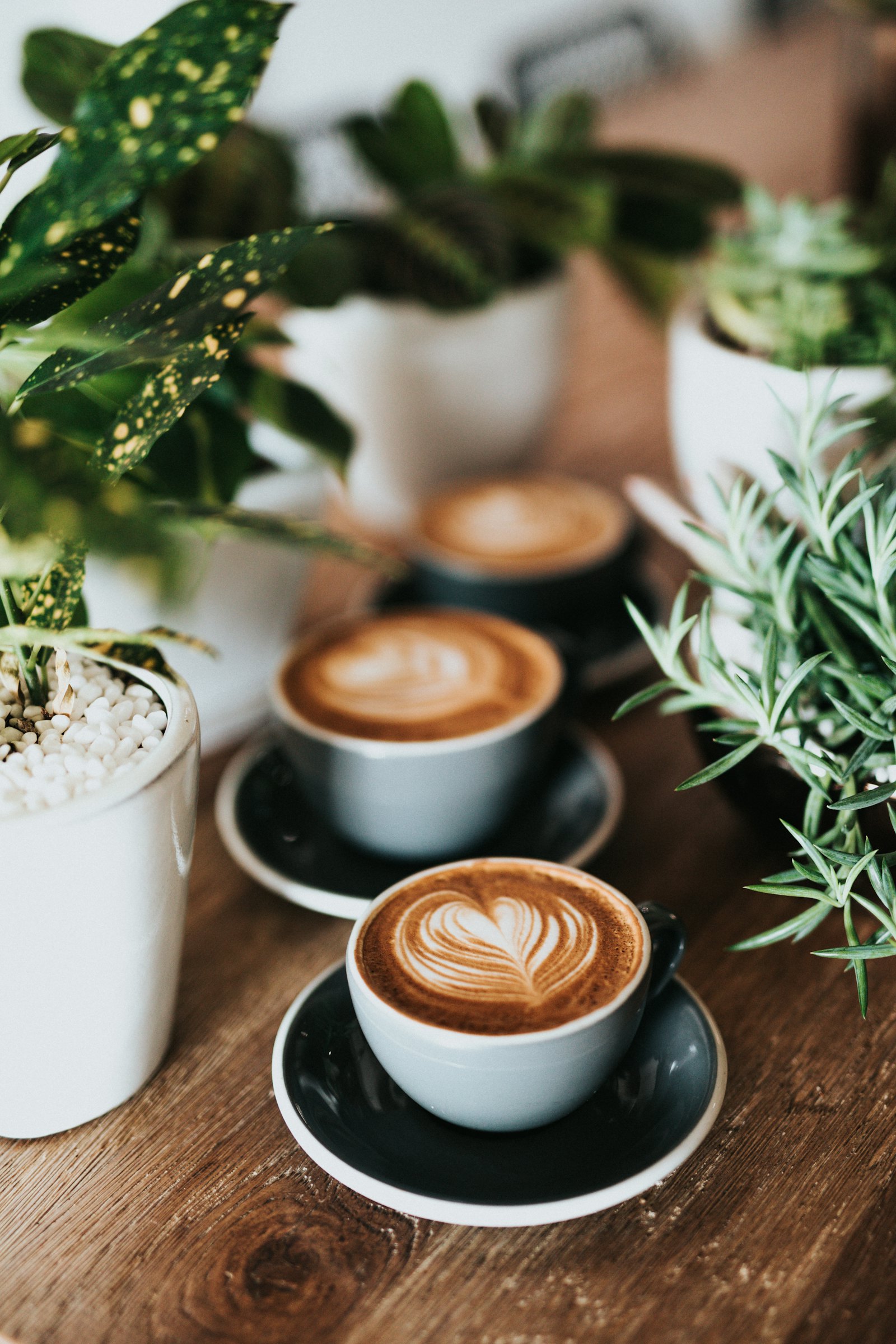 Café Mona 3